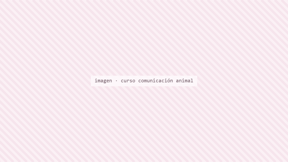 Inicio Curso de Comunicación Animal