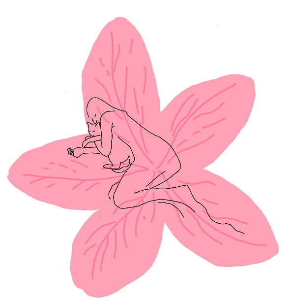 Inicio Ilustración: una mujer abraza a una gata sobre una flor de azalea